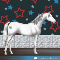 Horse Color:Platinum Buckskin Pearl Dun Varnish 