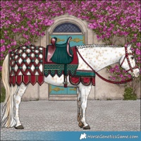 Horse Color:Red Dun Appaloosa 