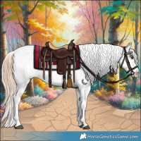 Horse Color:Red Dun Appaloosa 