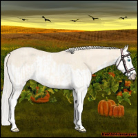 Horse Color:Cremello Roan Splash  and Cremello Roan Splash 