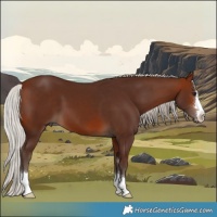 Horse Color:Silver Brown