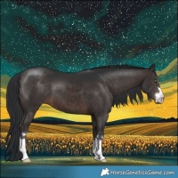 Horse Color:Brown 