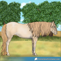 Horse Color:Smoky Black Pearl