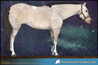 Horse Color:Bay Ice Dun Tobiano 