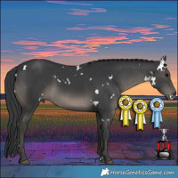 Horse Color:White Spotted Black