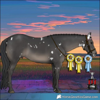Horse Color:White Spotted Black 