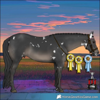 Horse Color:White Spotted Black 