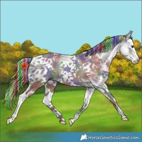 Horse Color:Painted Nacre White Spotted Silver Smoky Grullo Splash Tobiano Rabicano 