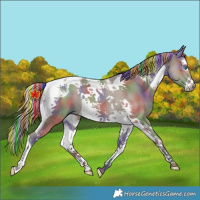 Horse Color:Painted Nacre Silver Smoky Grullo Splash Tobiano Frame 