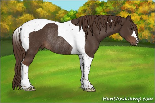 Horse Color:Liver Chestnut Tobiano Rabicano 