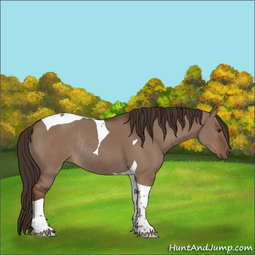 Horse Color:Liver Red Dun Tobiano Rabicano 