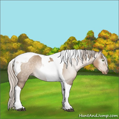 Horse Color:Gray Silver Grullo Pearl Tobiano Appaloosa Rabicano 