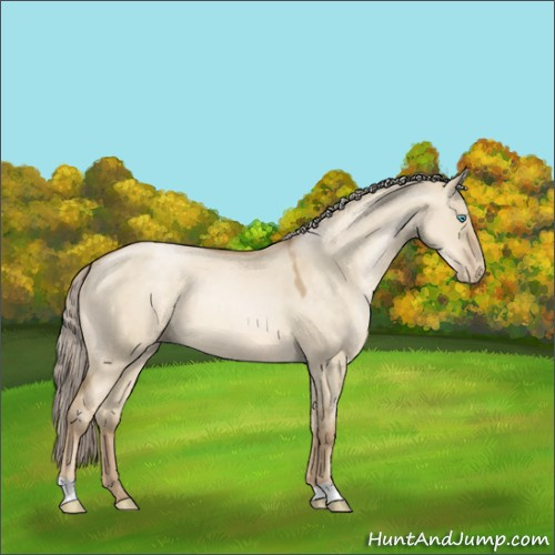 Horse Color:Chocolate Palomino Pearl Dun 