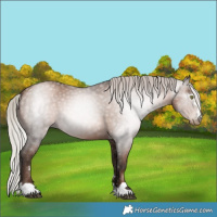 Horse Color:Gray Silver Brown Pearl 