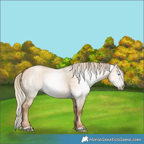 Horse Color:Gray Chocolate Palomino Pearl Dun 