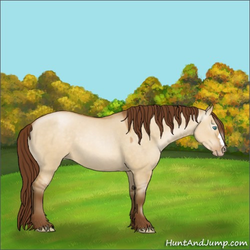 Horse Color:Gray Buckskin Roan Pearl Dun 