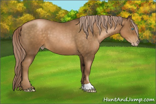 Horse Color:Gray Chocolate Palomino Pearl 