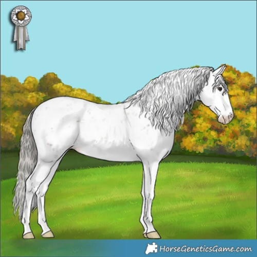 Horse Color:Liver Chestnut Mushroom Sabino 