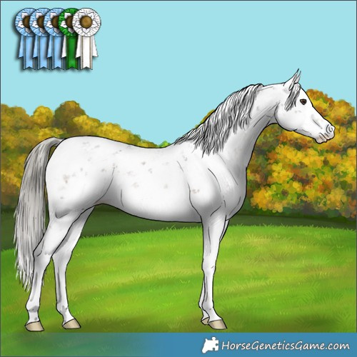 Horse Color:Liver Chestnut Mushroom Sabino 