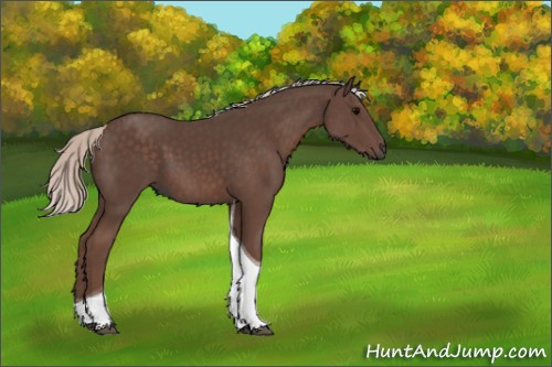 Horse Color:Silver Black Tobiano 