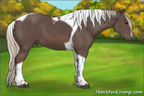 Horse Color:Silver Black Tobiano 
