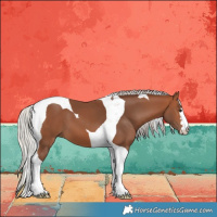 Horse Color:Silver Brown Tobiano