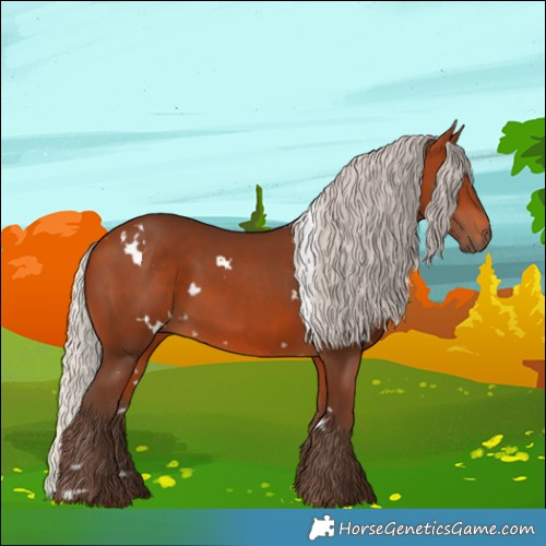 Horse Color:White Spotted Silver Bay 