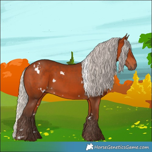 Horse Color:White Spotted Silver Bay 