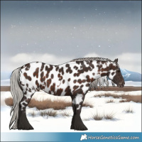 Horse Color:White Spotted Silver Brown Near Leopard 