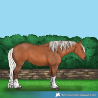 Horse Color:Silver Bay Tobiano 