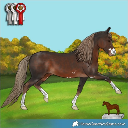 Horse Color:Liver Chestnut 