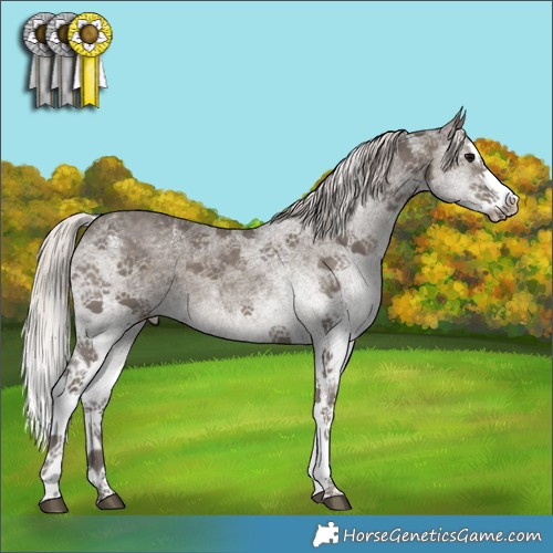 Horse Color:White Spotted Silver Black Splash 