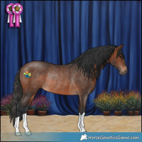 Horse Color:Brown Rabicano 
