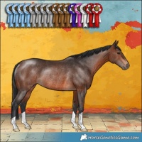 Horse Color:Brown Rabicano 