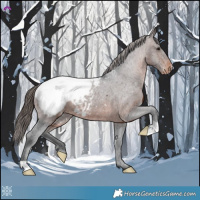 Horse Color:Brown Snowcap 