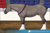 Horse Color:Smoky Grullo 