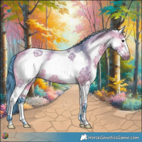 Horse Color:Watercolor White Spotted Bay Frame 