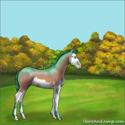 Horse Color:Watercolor Bay Splash 