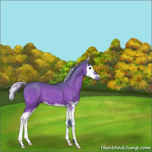 Horse Color:Watercolor Silver Brown Splash 