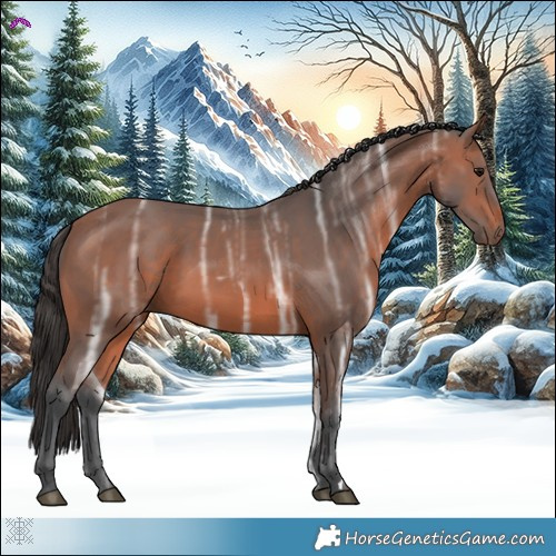 Horse Color:Bay Ice 