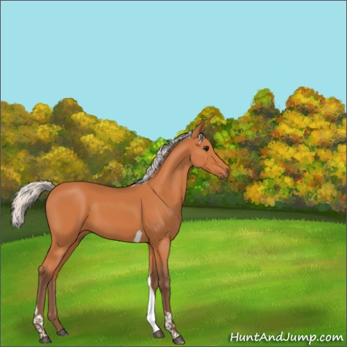 Horse Color:Silver Bay Tobiano 