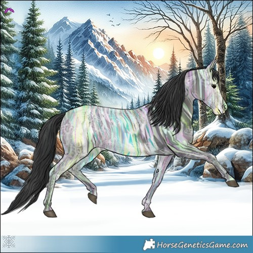 Horse Color:Black Ice 