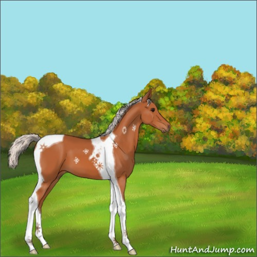 Horse Color:Silver Bay Tobiano 