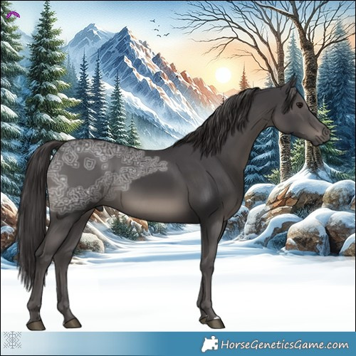 Horse Color:Smoky Black Ice 