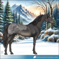 Horse Color:Smoky Black Ice 