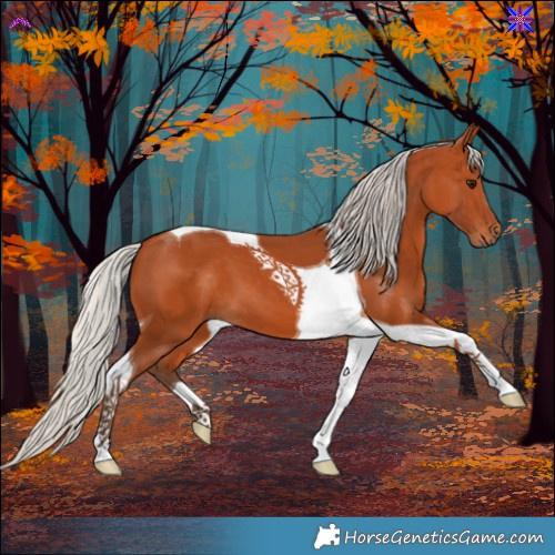 Horse Color:Silver Bay Tobiano 