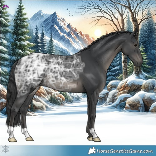 Horse Color:Black Ice