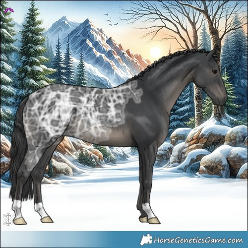 Horse Color:Black Ice 