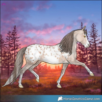 Horse Color:Amber Champagne Splash Frame Blanket 
