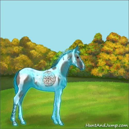 Horse Color:Thunderstruck Smoky Grullo Tobiano 